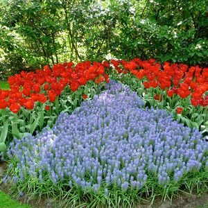 Meet your Posher, Estridandalbert